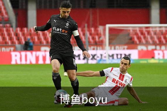 博鱼boyu简介