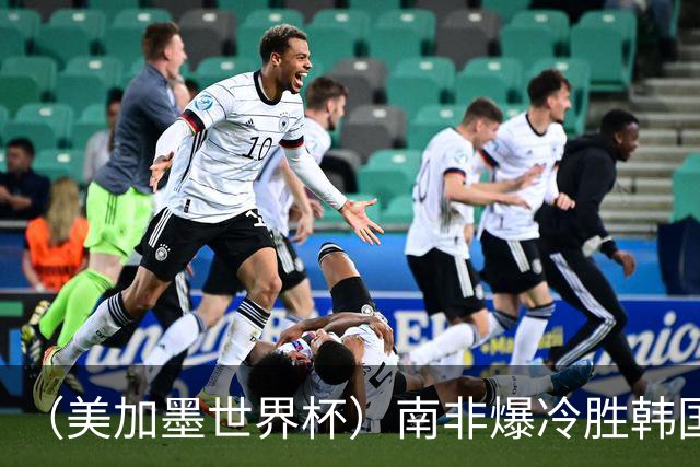 （美加墨世界杯）南非爆冷胜韩国 携手墨西哥晋级淘汰赛